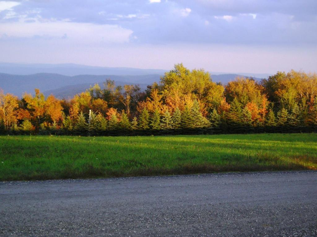 Cooper Hill Inn East Dover Екстер'єр фото