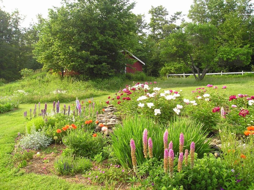 Cooper Hill Inn East Dover Екстер'єр фото